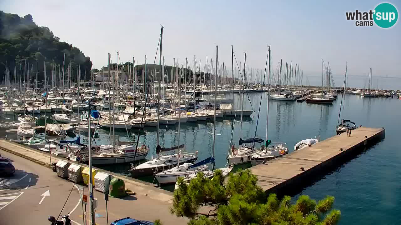 Webcam Sistiana Baia – Live View of the Marina and Gulf