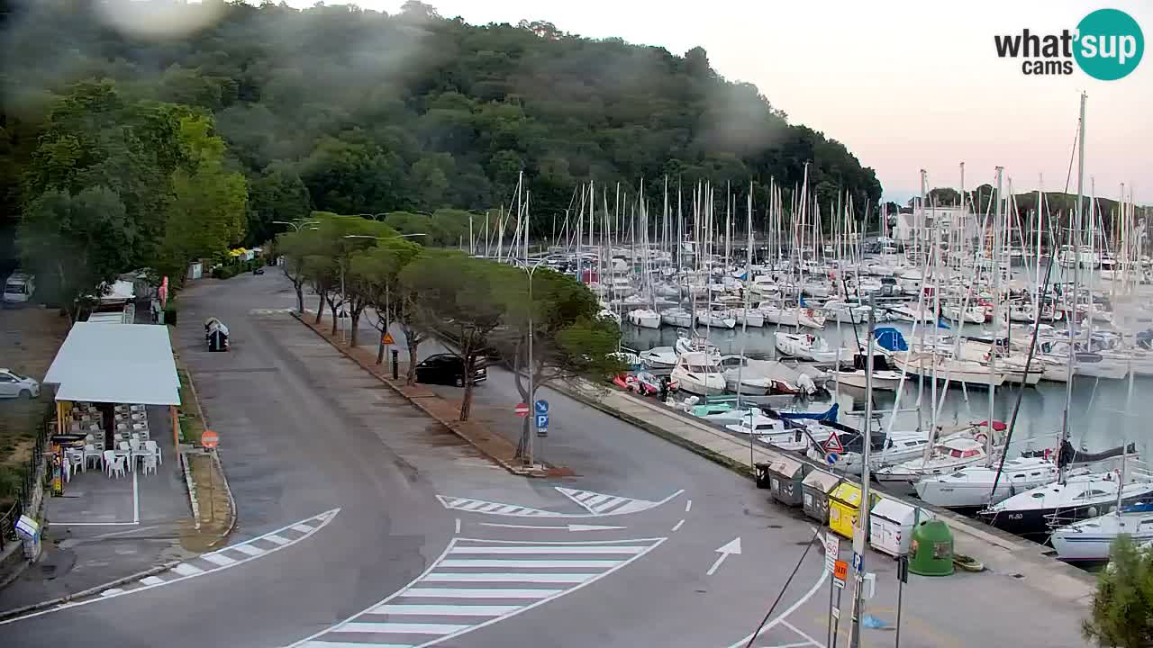 Webcam Bahía de Sistiana – Vista en directo del puerto deportivo y la costa