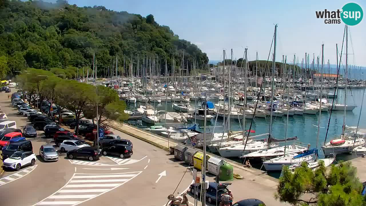 Webcam Sistiana Baia – Live View of the Marina and Gulf