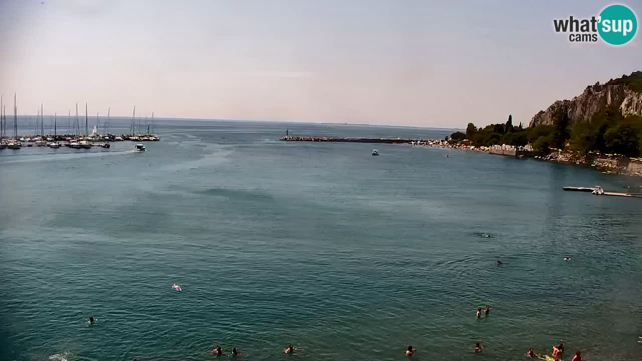 Web kamera Sistiana Uvala – Pogled uživo na marinu i zaljev