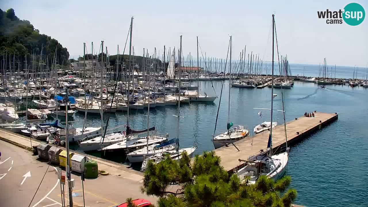 Webcam Baie de Sistiana – Vue en direct de la marina et de la baie