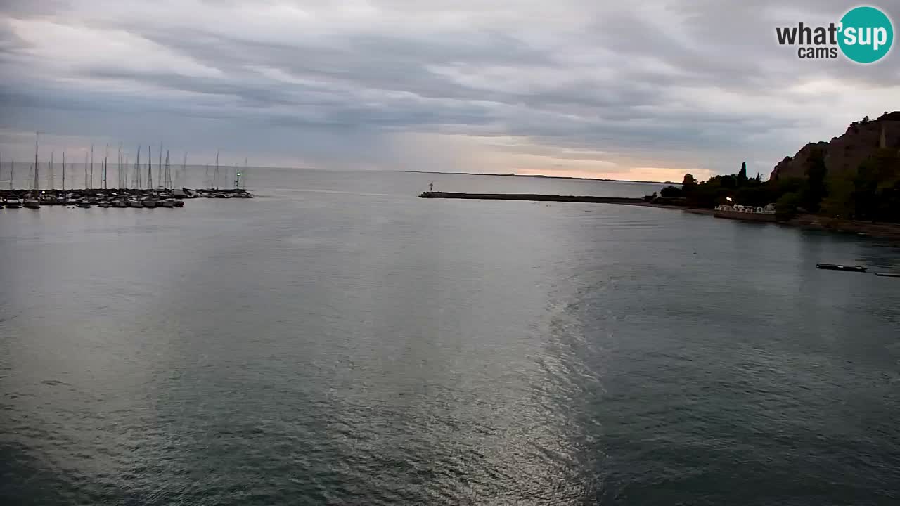 Webcam Bahía de Sistiana – Vista en directo del puerto deportivo y la costa