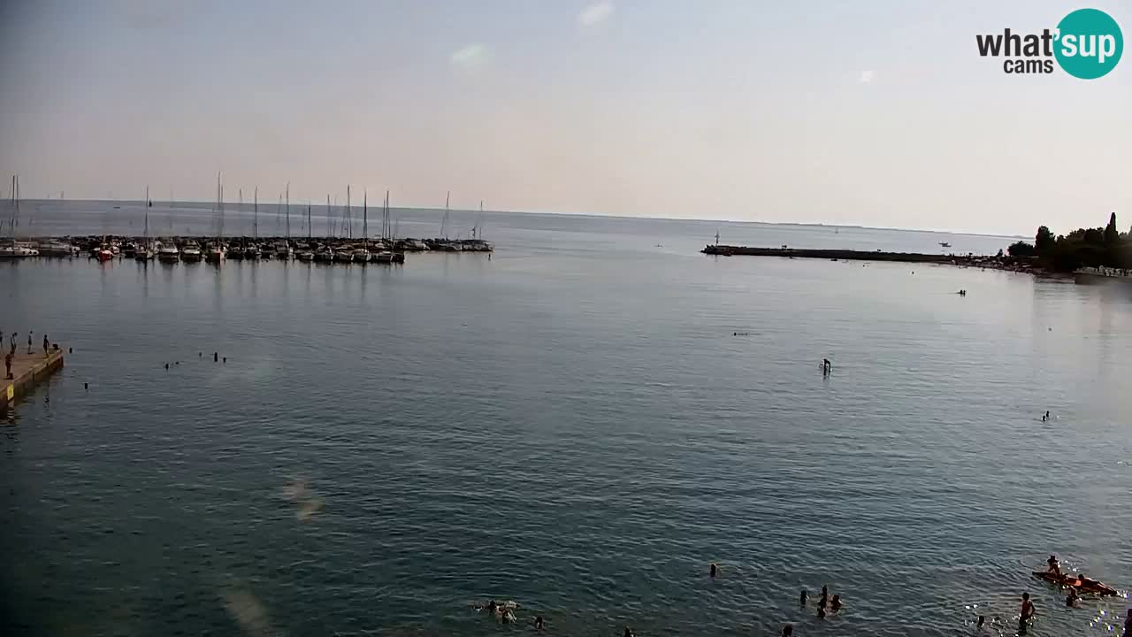 Webcam Sistiana Baia – Live View of the Marina and Gulf