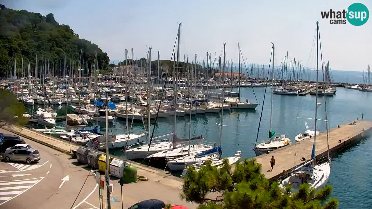 Webcam Baie de Sistiana – Vue en direct de la marina et de la baie
