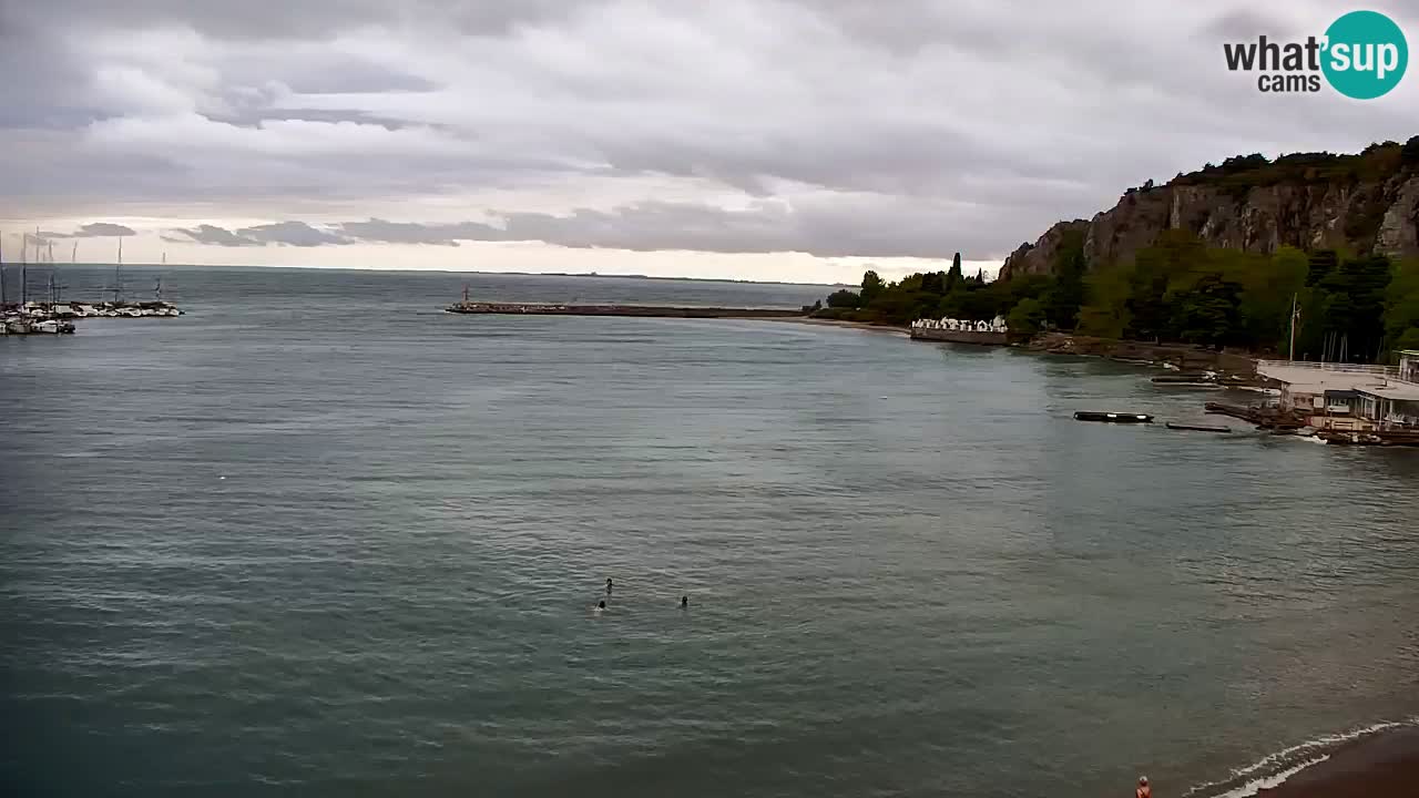 Webcam Sistiana Baia – Live View of the Marina and Gulf