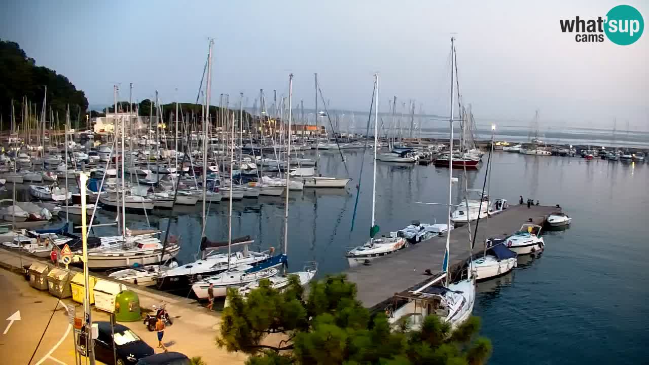 Webcam Sistiana Baia – Live View of the Marina and Gulf