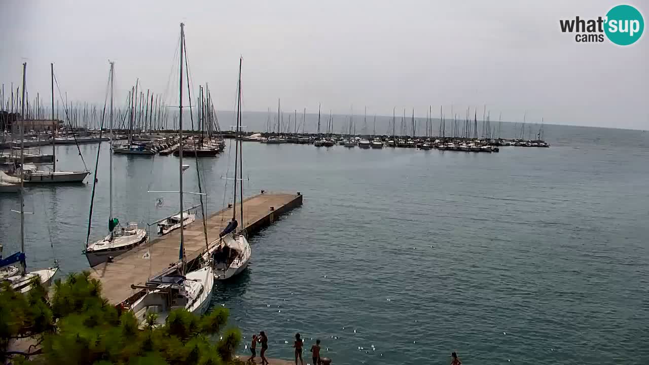 Spletna kamera Sesljanski zaliv – Pogled v živo na marino in zaliv