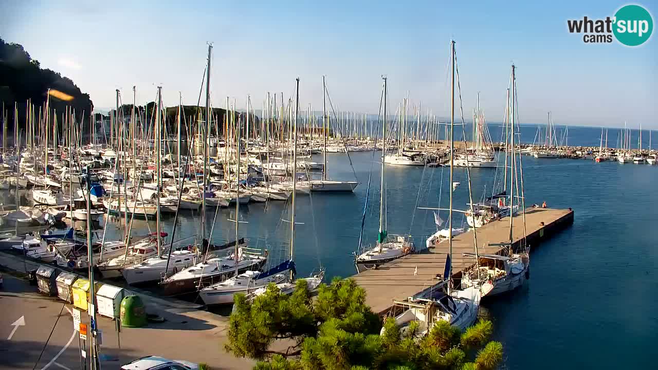 Webcam Bahía de Sistiana – Vista en directo del puerto deportivo y la costa