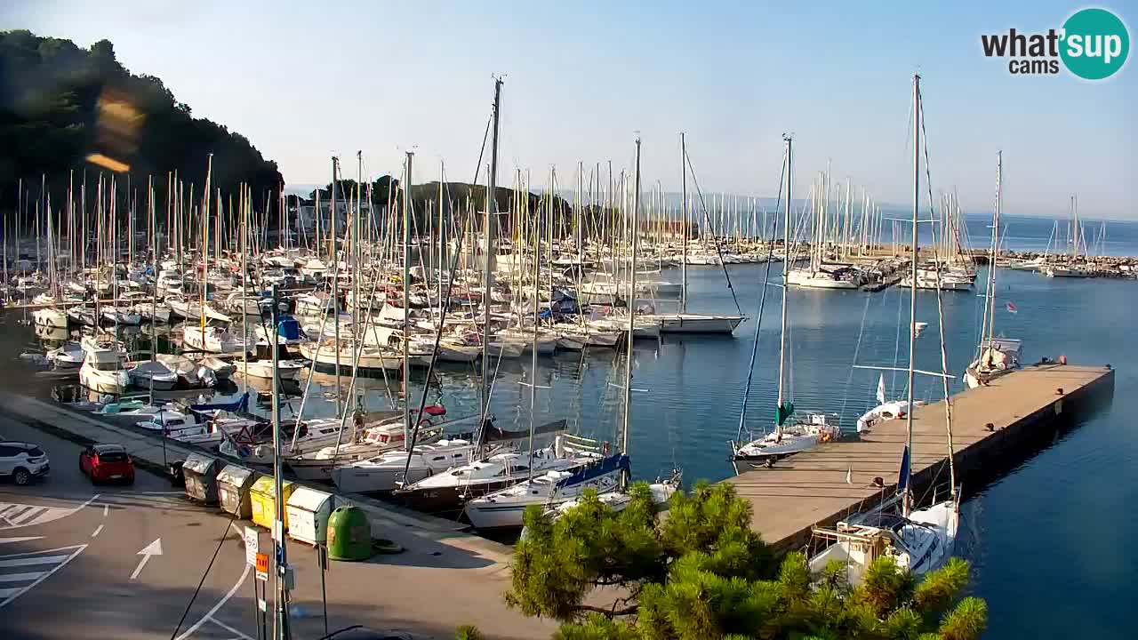 Webcam Bahía de Sistiana – Vista en directo del puerto deportivo y la costa