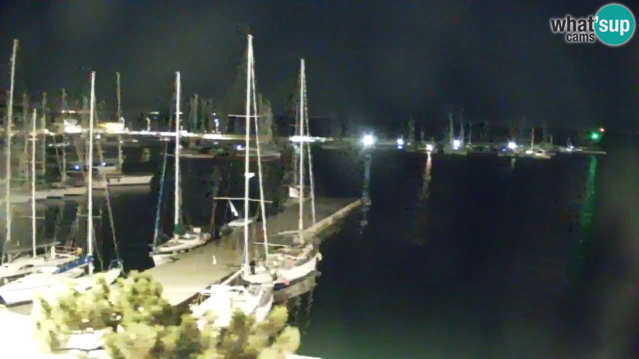 Webcam Sistiana Baia – Live View of the Marina and Gulf