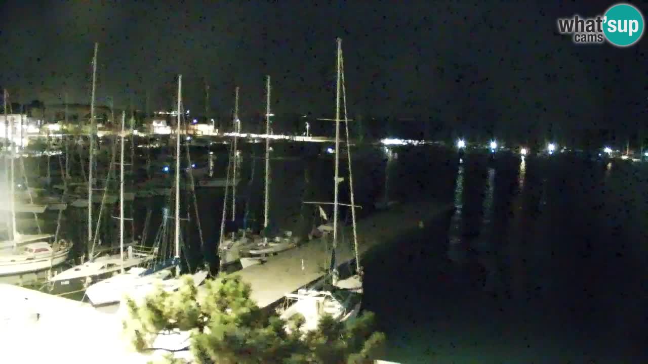 Webcam Sistiana Baia – Live View of the Marina and Gulf