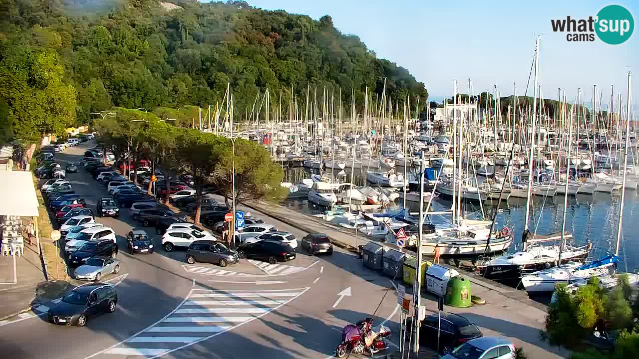 Spletna kamera Sesljanski zaliv – Pogled v živo na marino in zaliv