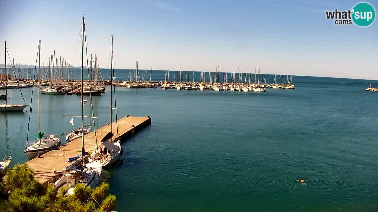 Webcam Sistiana Baia – Live View of the Marina and Gulf