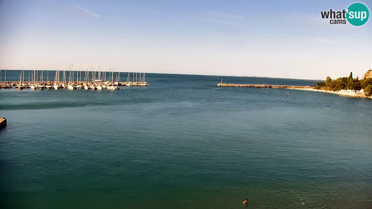 Webcam Sistiana Baia – Live View of the Marina and Gulf