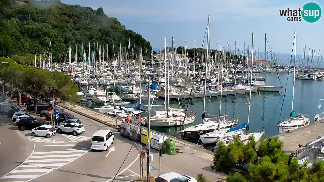 Webcam Sistiana Baia – Live View of the Marina and Gulf