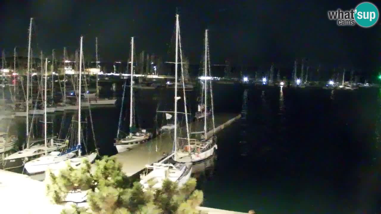 Webcam Sistiana Baia – Live View of the Marina and Gulf