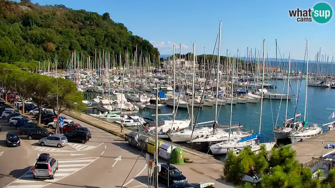Webcam Sistiana Baia – Live View of the Marina and Gulf