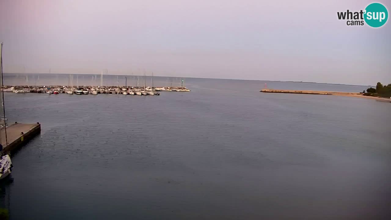 Webcam Bahía de Sistiana – Vista en directo del puerto deportivo y la costa