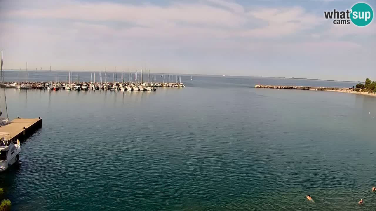 Webcam Sistiana Baia – Live View of the Marina and Gulf