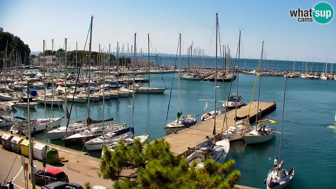 Webcam Sistiana Baia – Live View of the Marina and Gulf