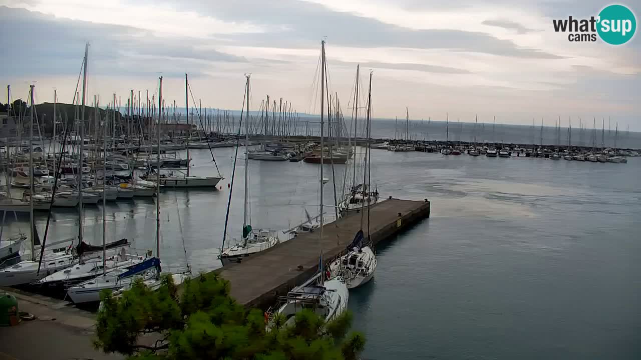 Web kamera Sistiana Uvala – Pogled uživo na marinu i zaljev