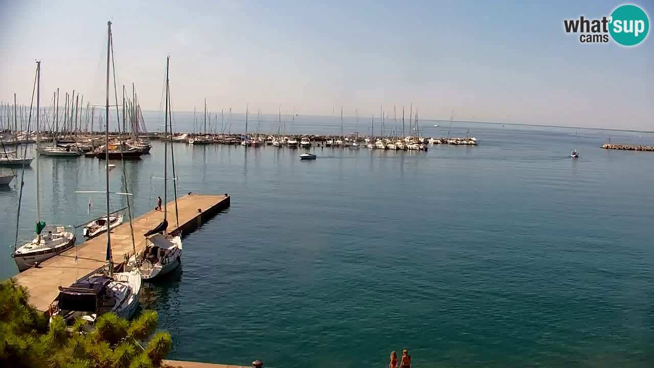 Webcam Sistiana Baia – Live View of the Marina and Gulf