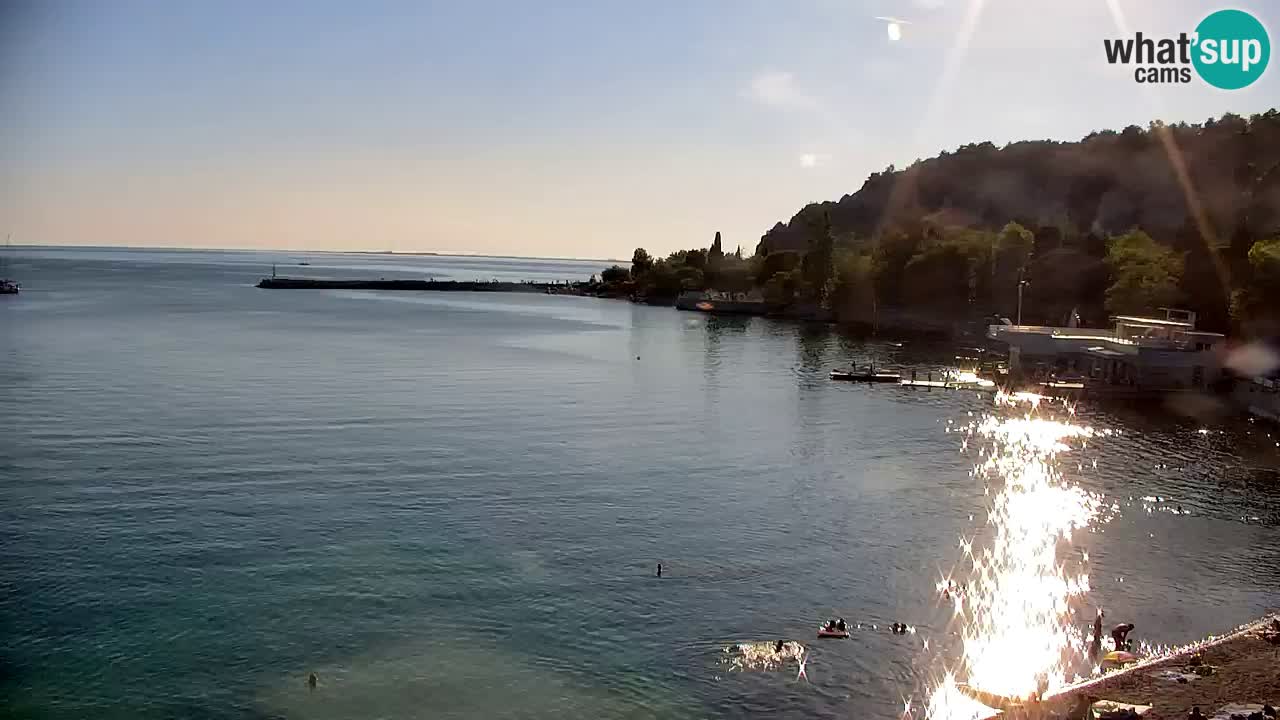 Spletna kamera Sesljanski zaliv – Pogled v živo na marino in zaliv