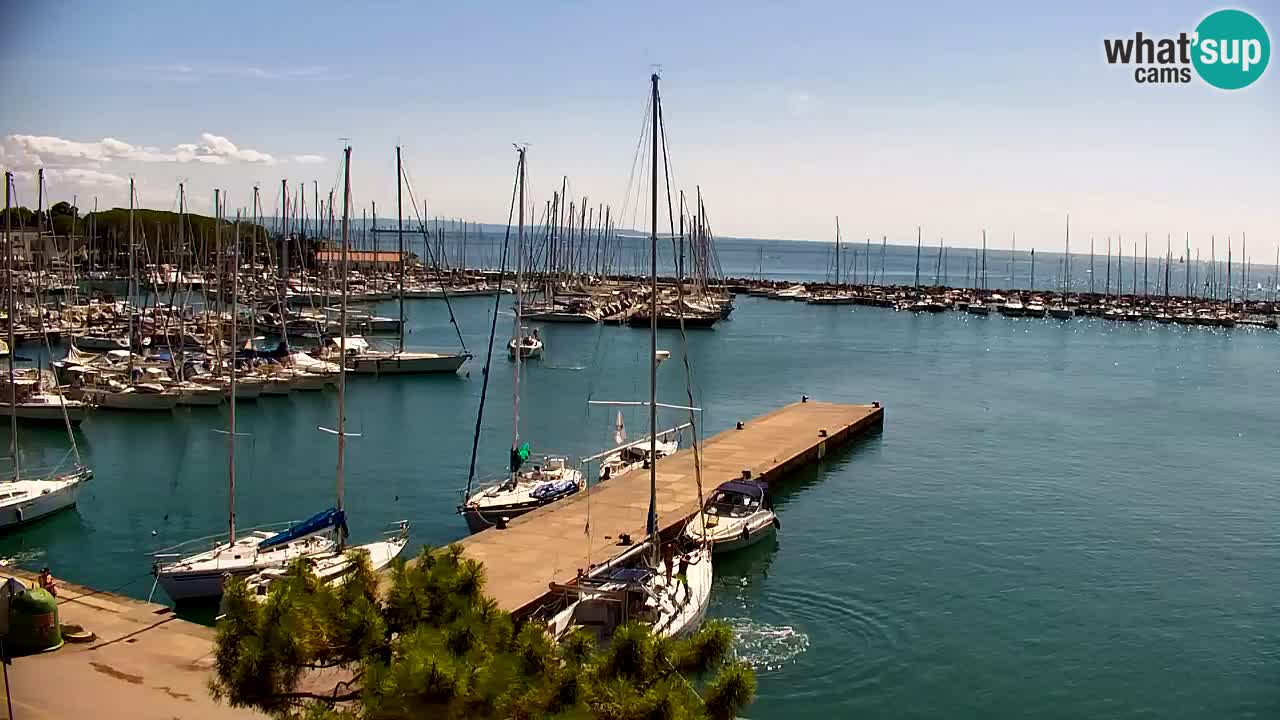 Webcam Baie de Sistiana – Vue en direct de la marina et de la baie