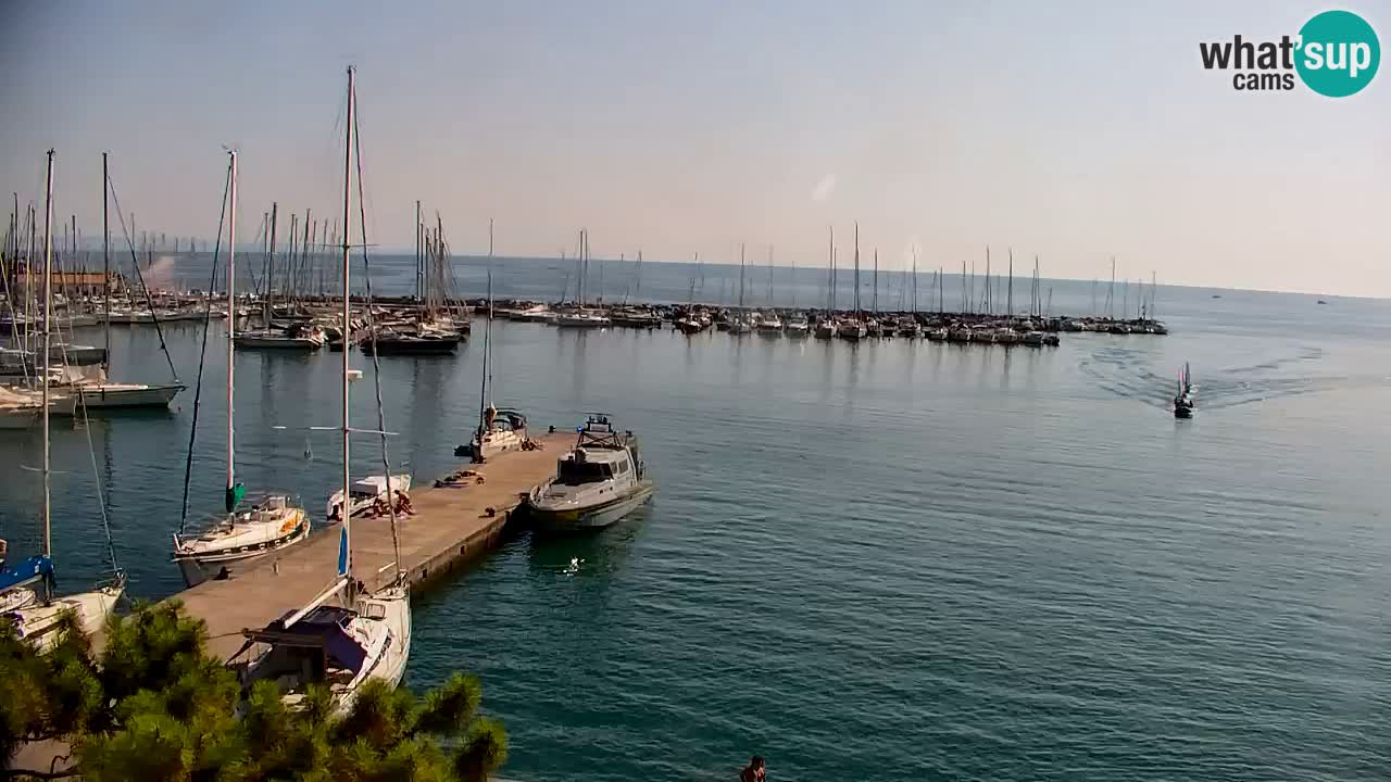 Webcam Baie de Sistiana – Vue en direct de la marina et de la baie