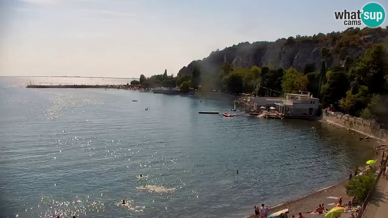 Webcam Sistiana Baia – Live View of the Marina and Gulf