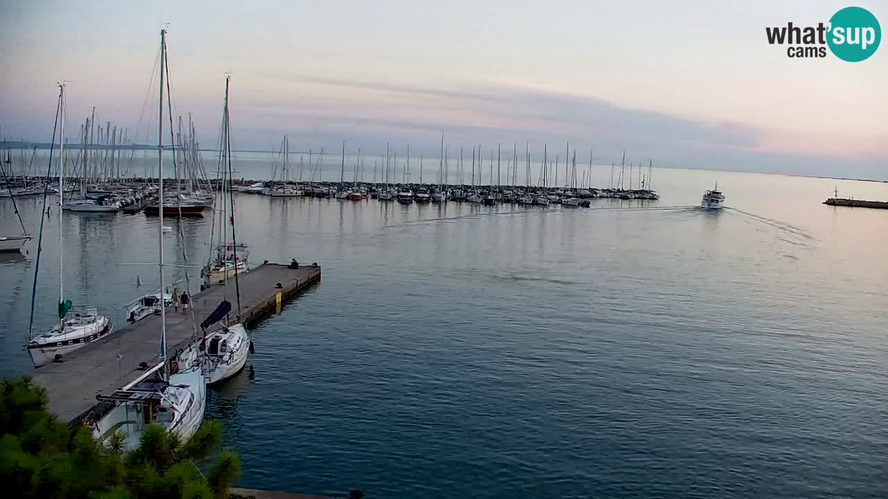 Webcam Bahía de Sistiana – Vista en directo del puerto deportivo y la costa