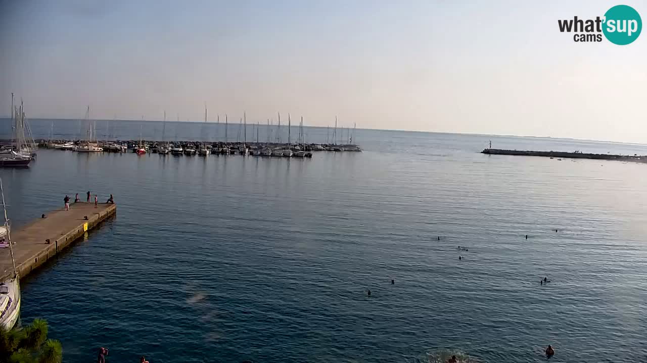 Webcam Sistiana Baia – Live View of the Marina and Gulf