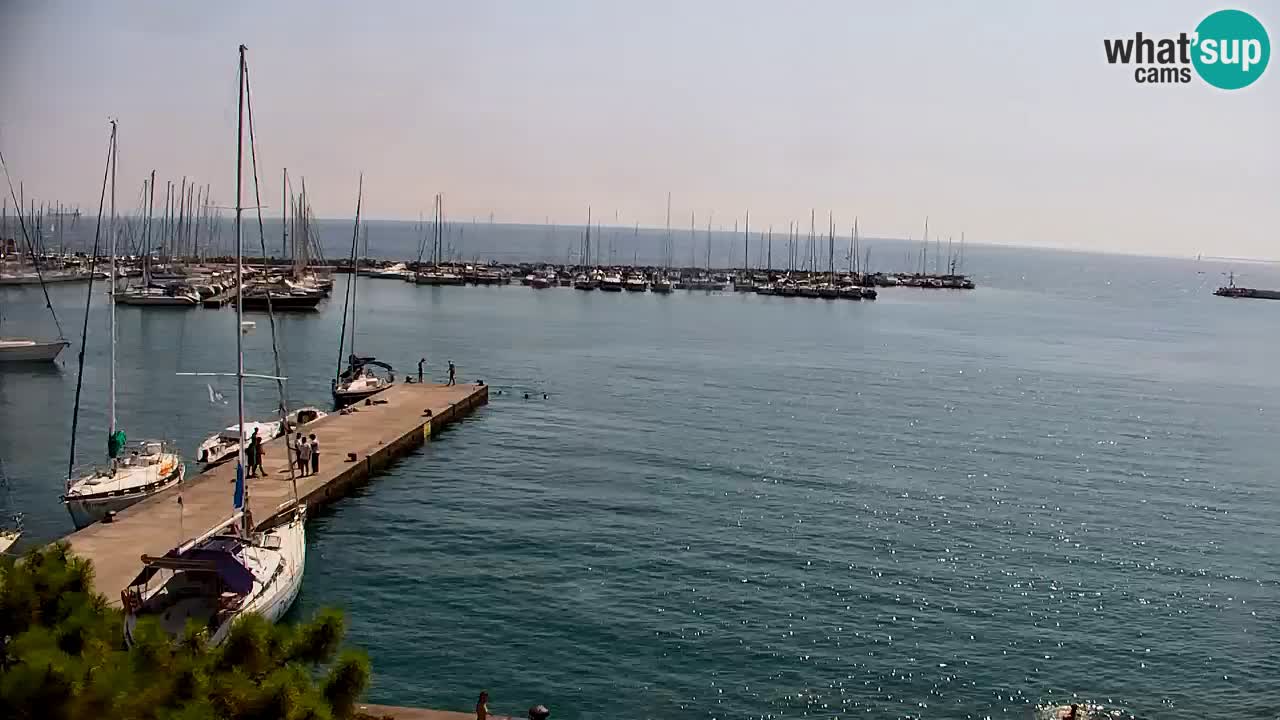 Webcam Sistiana Bucht – Liveblick auf Marina und Bucht
