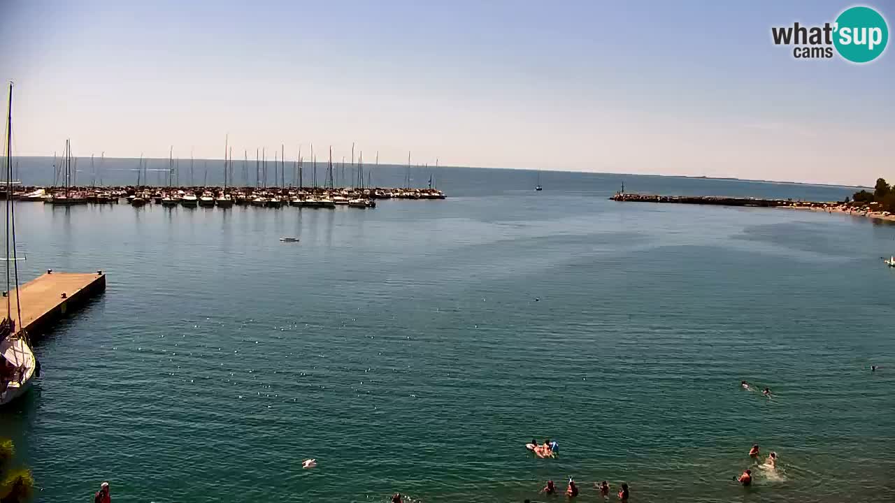Webcam Bahía de Sistiana – Vista en directo del puerto deportivo y la costa