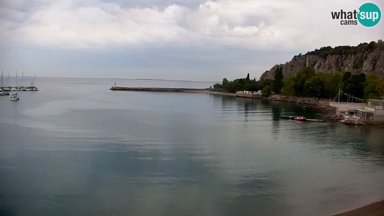 Web kamera Sistiana Uvala – Pogled uživo na marinu i zaljev