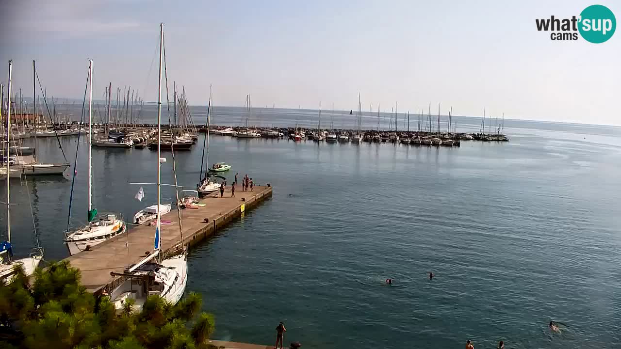 Webcam Sistiana Baia – Live View of the Marina and Gulf