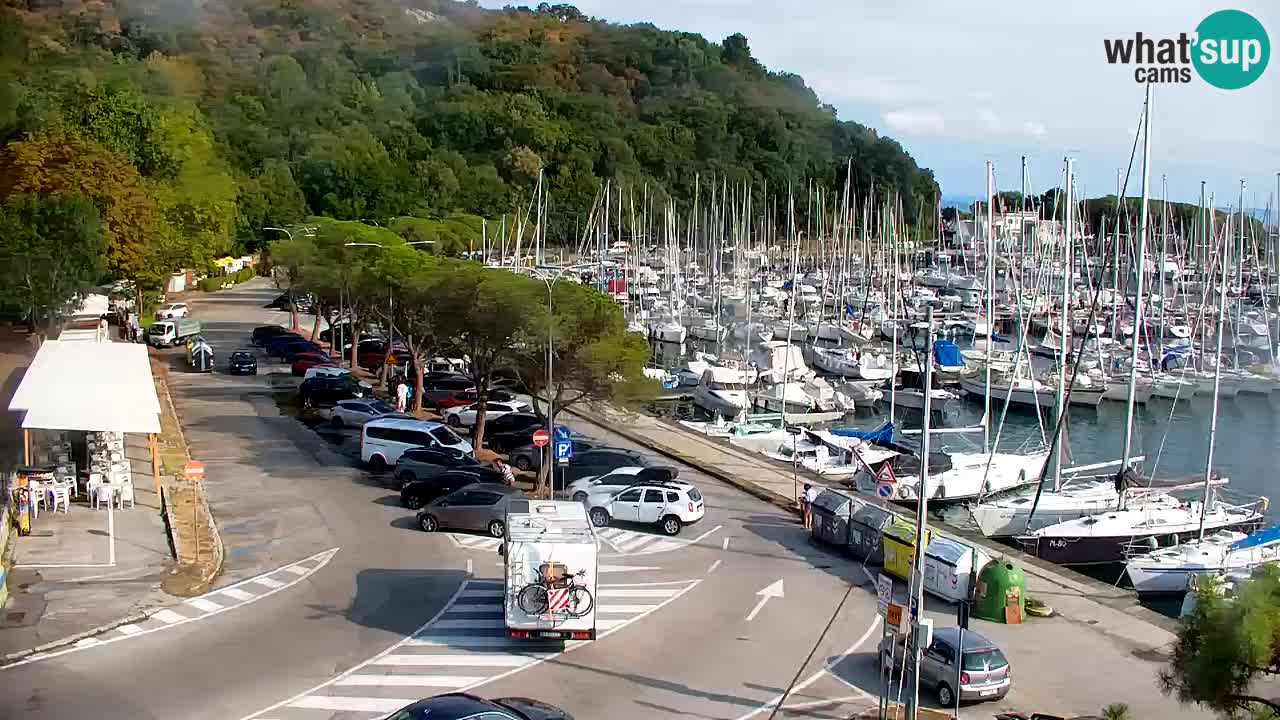 Webcam Sistiana Baia – Live View of the Marina and Gulf