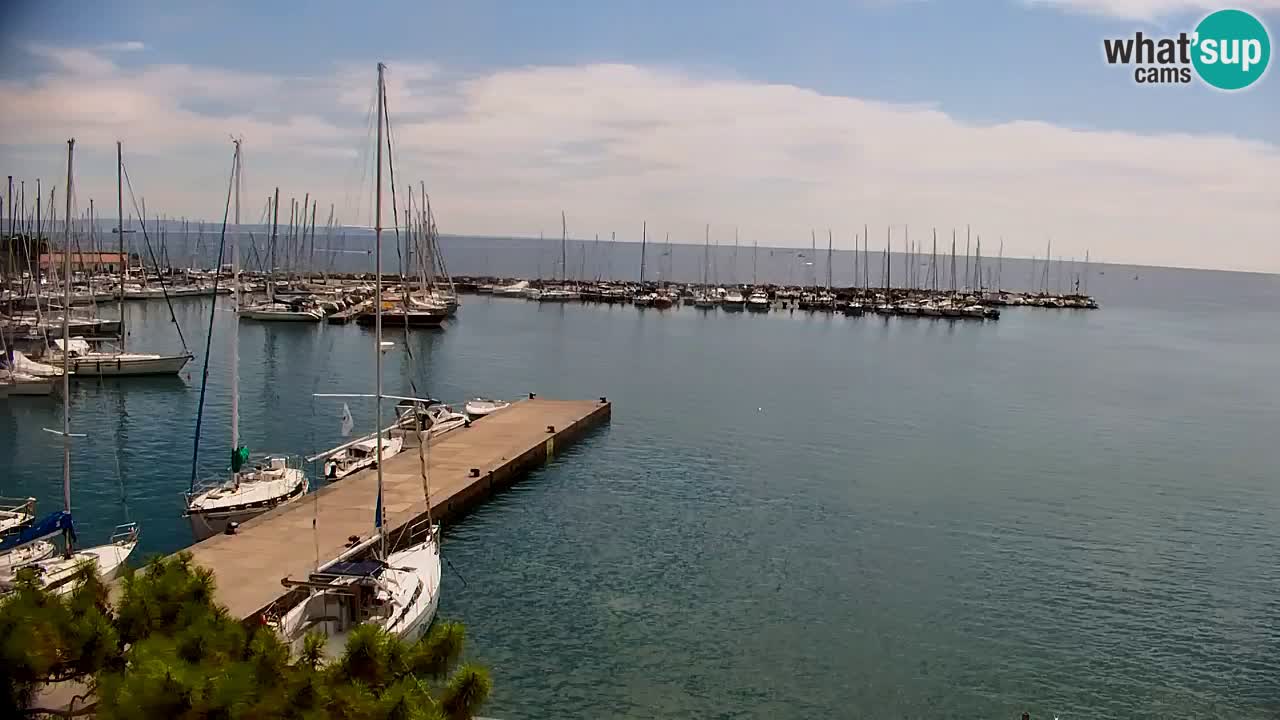 Webcam Sistiana Baia – Live View of the Marina and Gulf