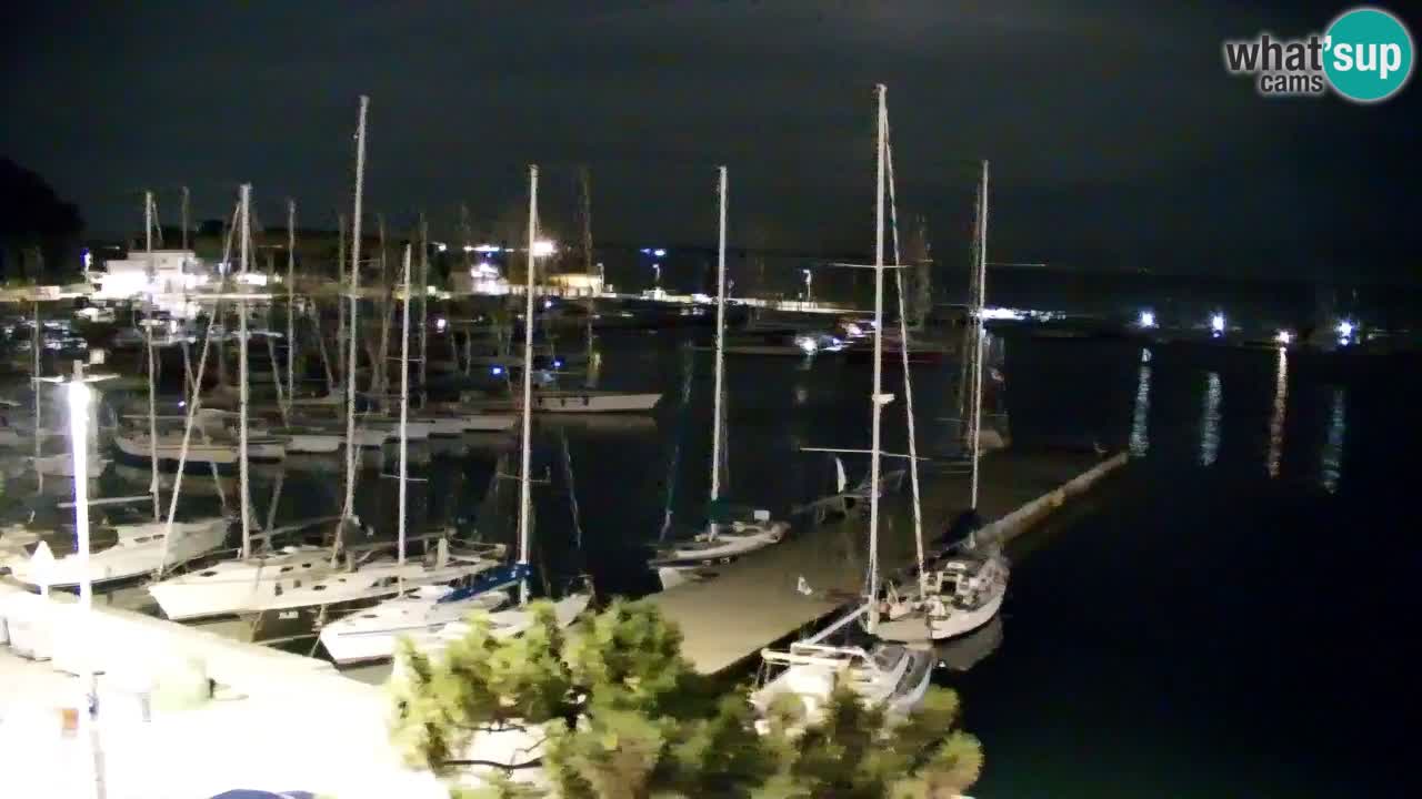 Webcam Sistiana Baia – Live View of the Marina and Gulf