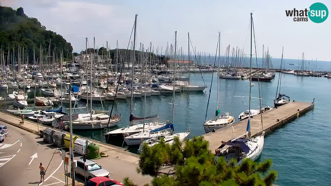 Web kamera Sistiana Uvala – Pogled uživo na marinu i zaljev
