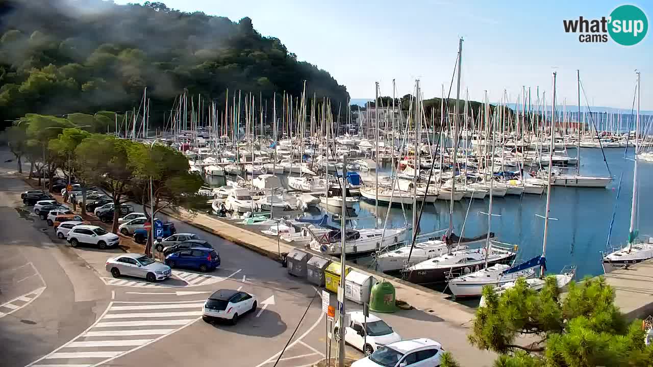 Webcam Sistiana Baia – Live View of the Marina and Gulf