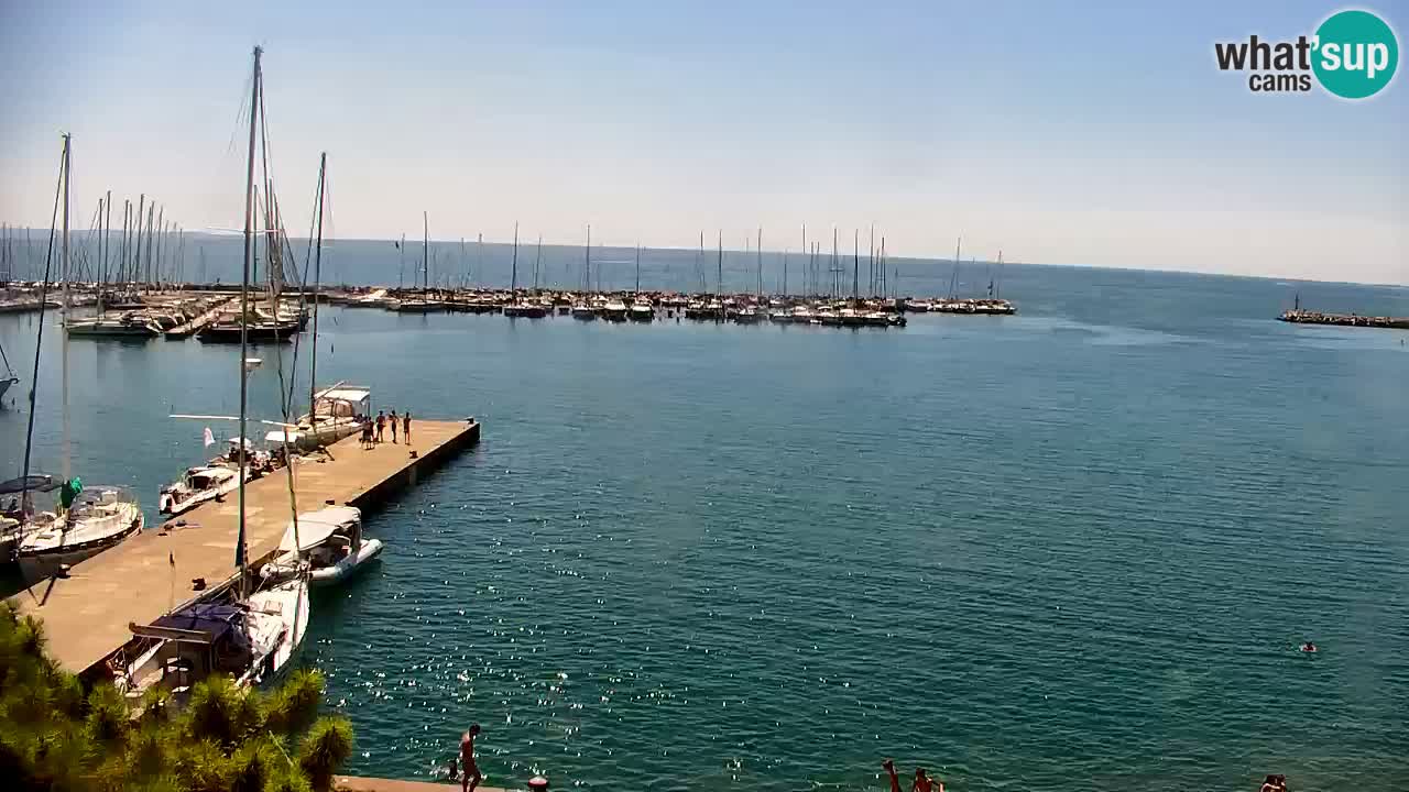 Webcam Sistiana Baia – Live View of the Marina and Gulf