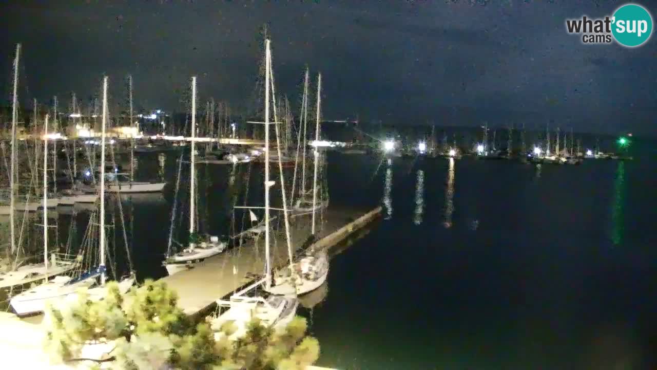 Webcam Bahía de Sistiana – Vista en directo del puerto deportivo y la costa