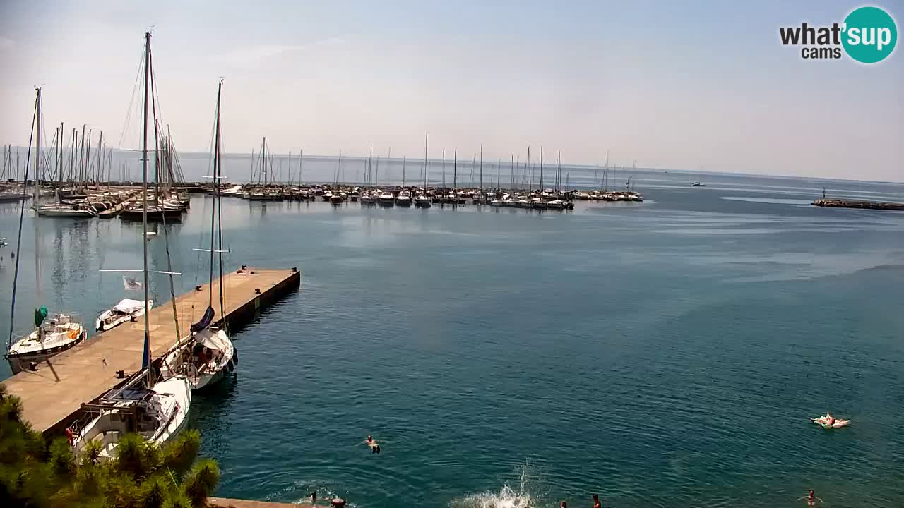 Webcam Sistiana Baia – Live View of the Marina and Gulf