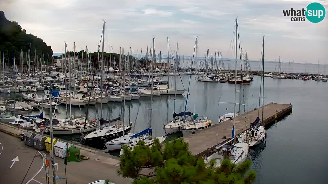 Webcam Sistiana Baia – Live View of the Marina and Gulf