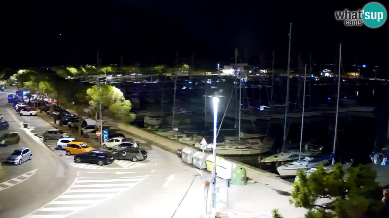 Webcam Bahía de Sistiana – Vista en directo del puerto deportivo y la costa