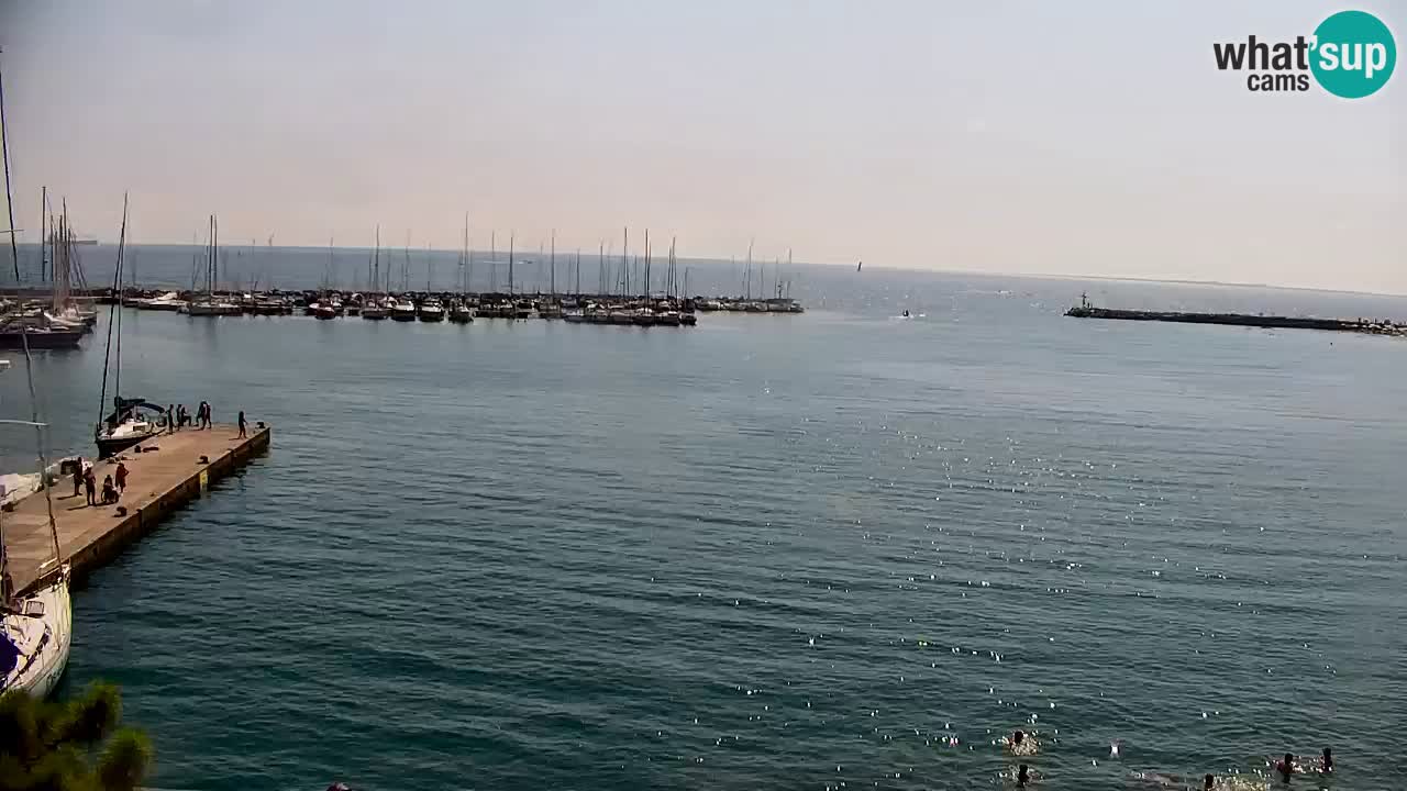 Spletna kamera Sesljanski zaliv – Pogled v živo na marino in zaliv