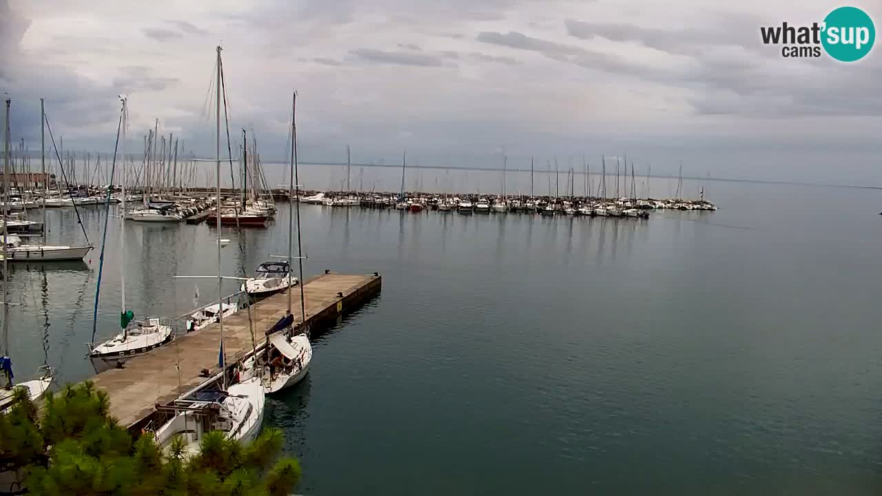Webcam Sistiana Baia – Live View of the Marina and Gulf