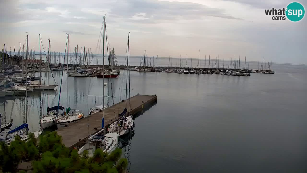 Webcam Sistiana Baia – Live View of the Marina and Gulf