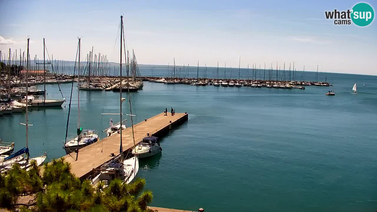 Spletna kamera Sesljanski zaliv – Pogled v živo na marino in zaliv
